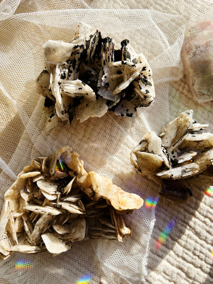 Noir Manganese Rose Krystall Baryte – 200-400g