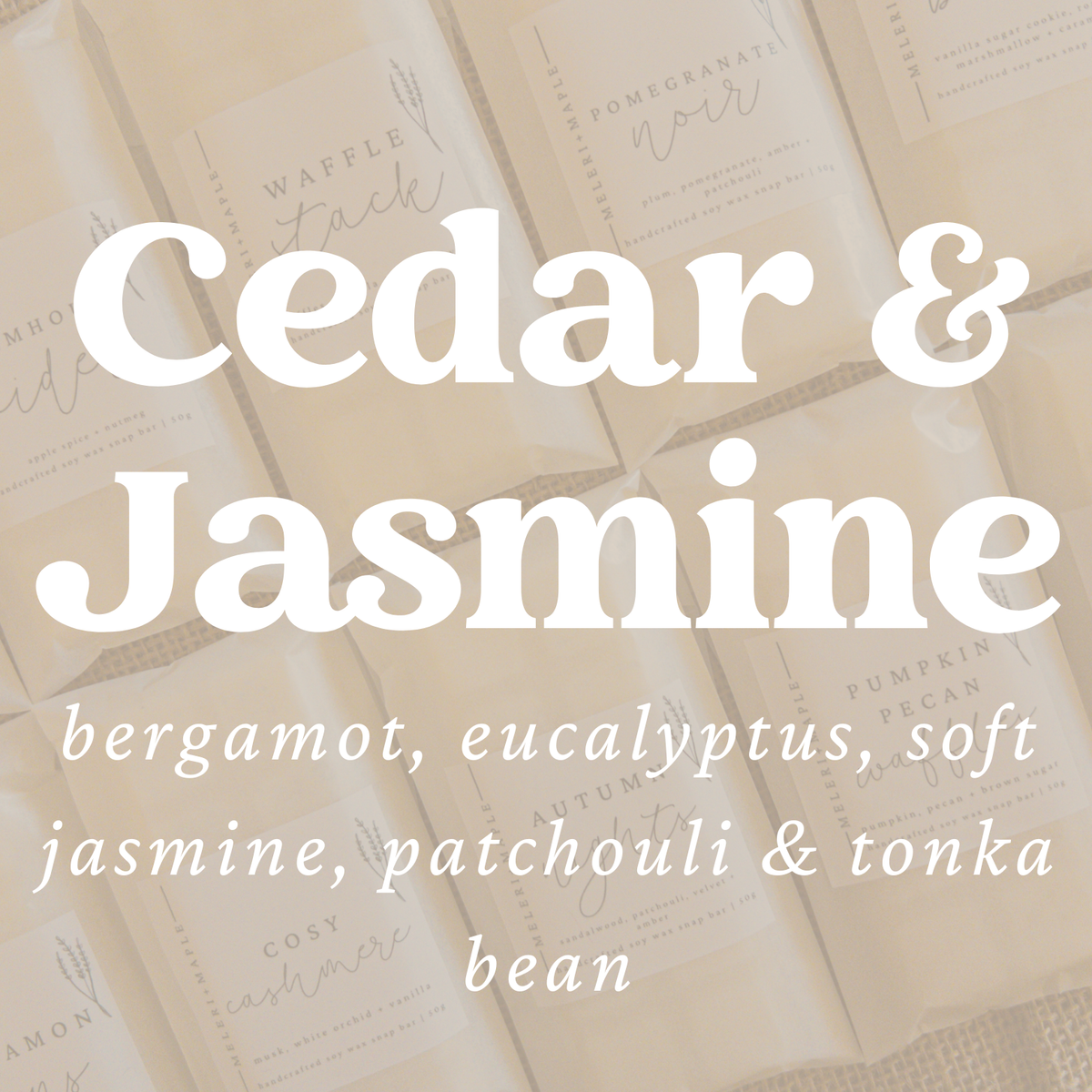 Cedar & Jasmine Snap Bar Wax Melt