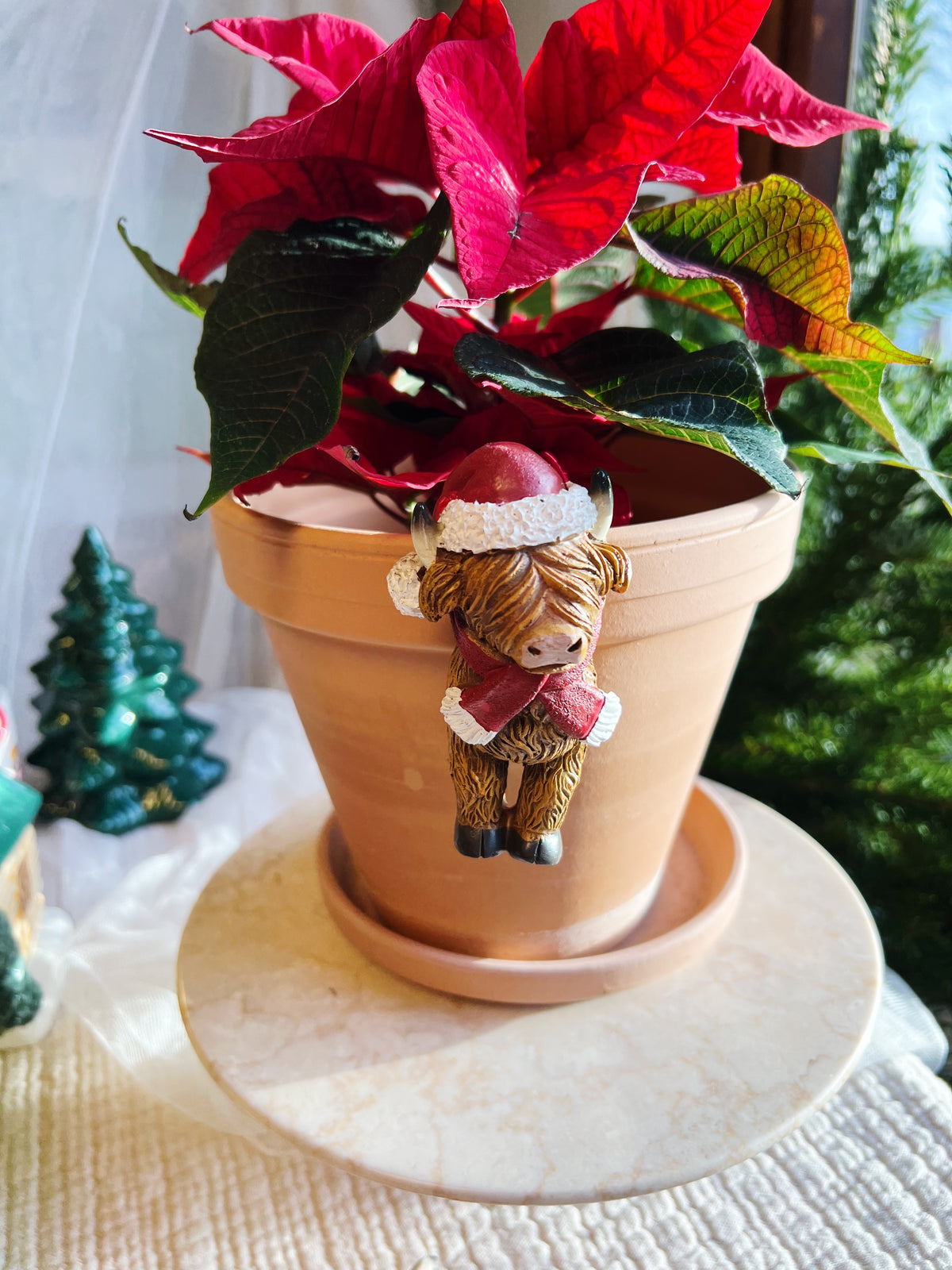 Happy Highland kuer – Plante-henger