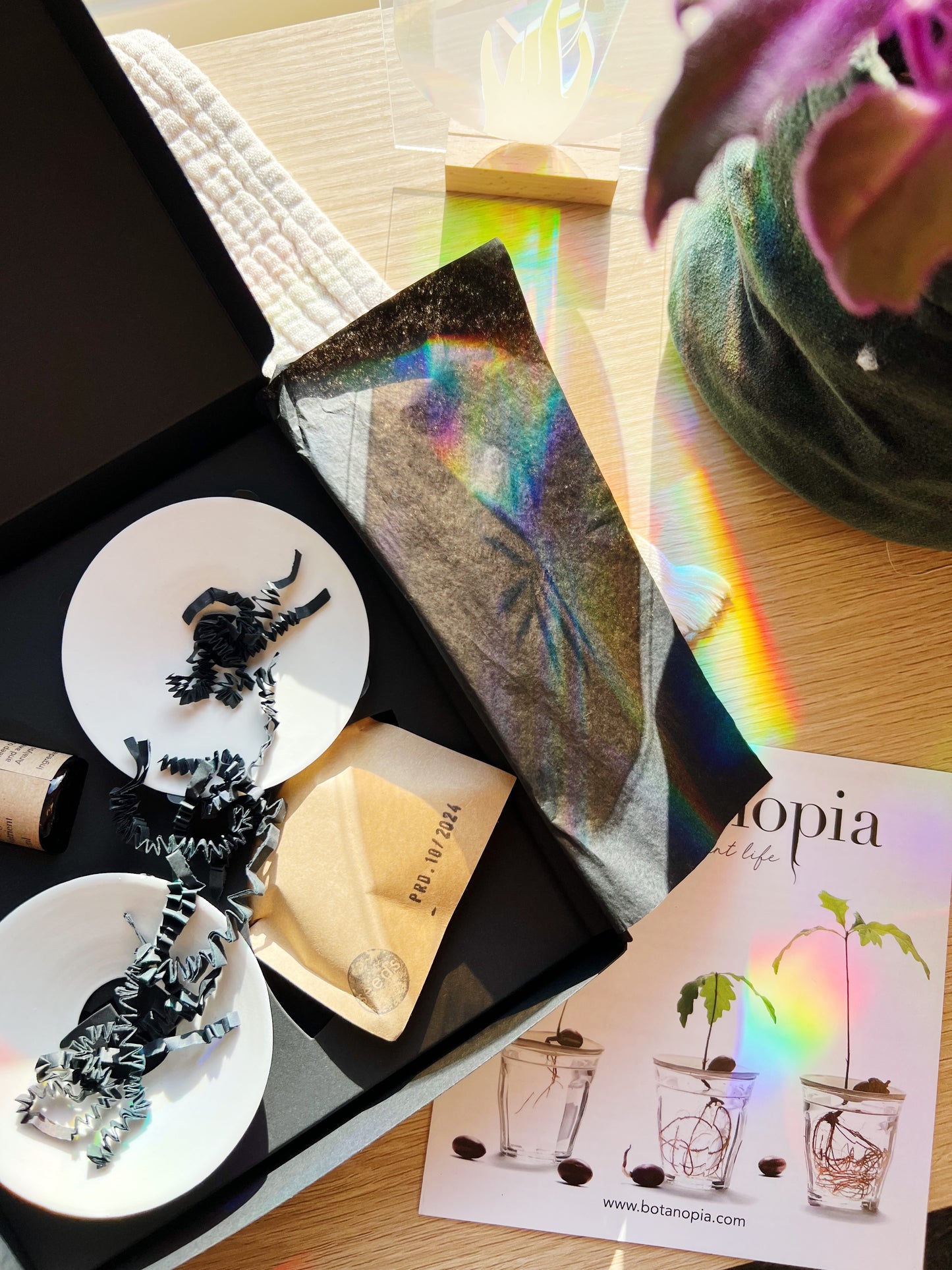 Deluxe Gavesett - Spiring & Formering i Vann