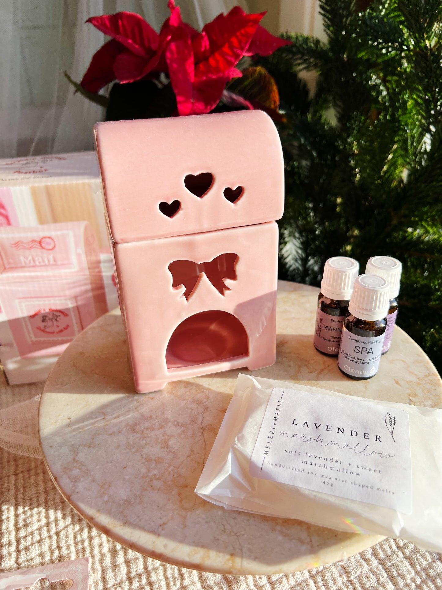 Cupid's Delivery Postbox Olje/Wax melt Brenner