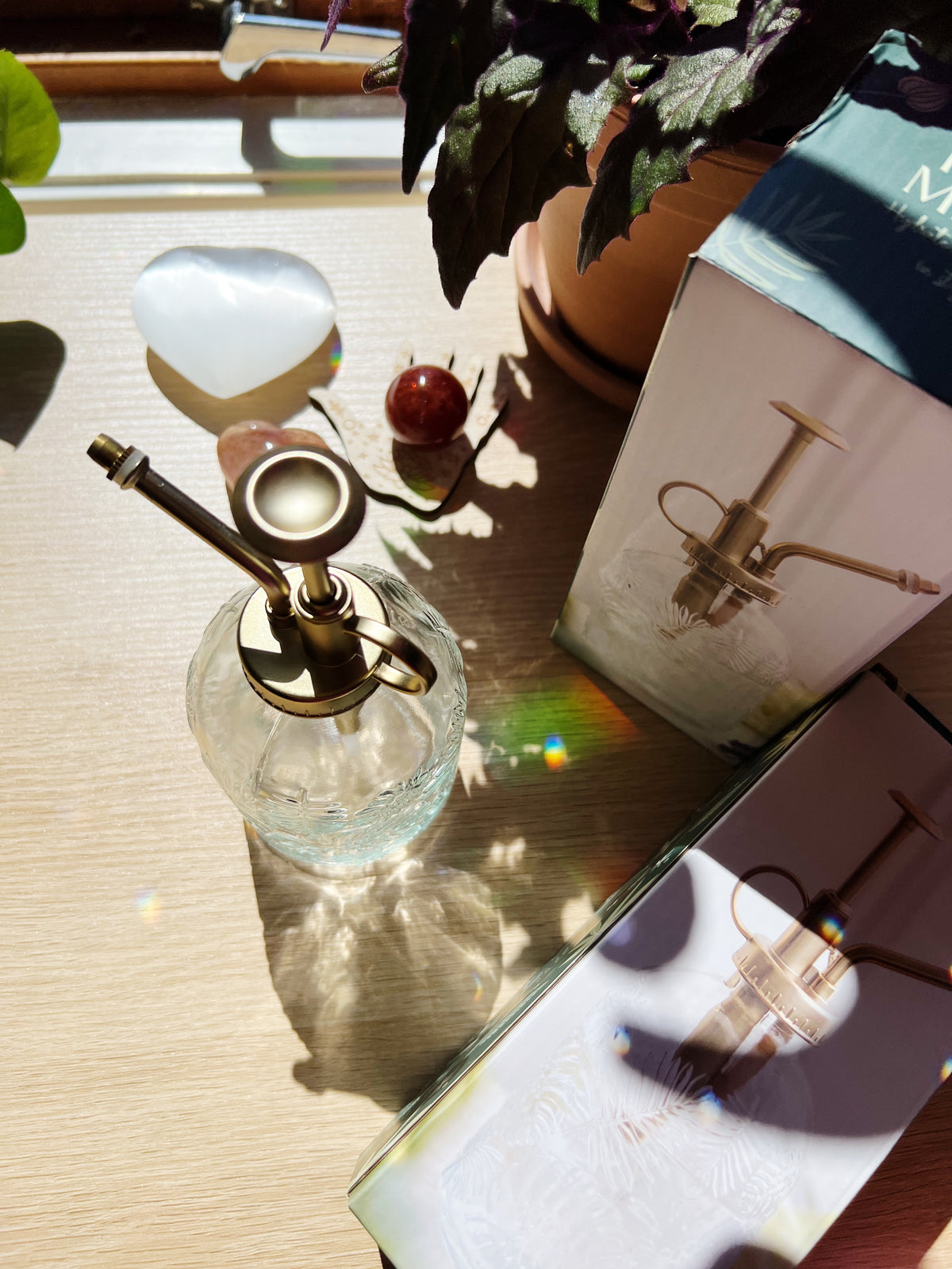 Vintage Glass Plantesprayer