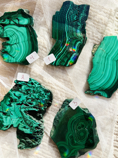 Malakitt Krystall Slices – 101-150g