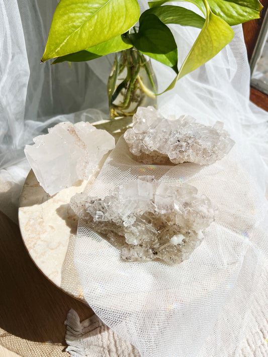 Halitt : 300g