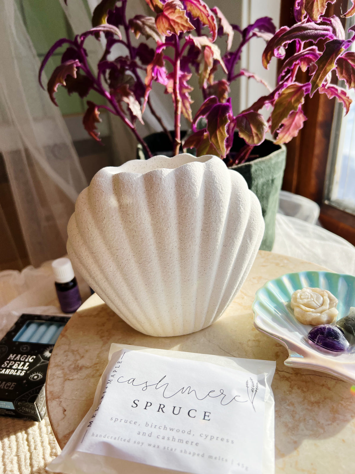 Sjøskall Oljebrenner & Wax Melt Brenner – Steinfarvet
