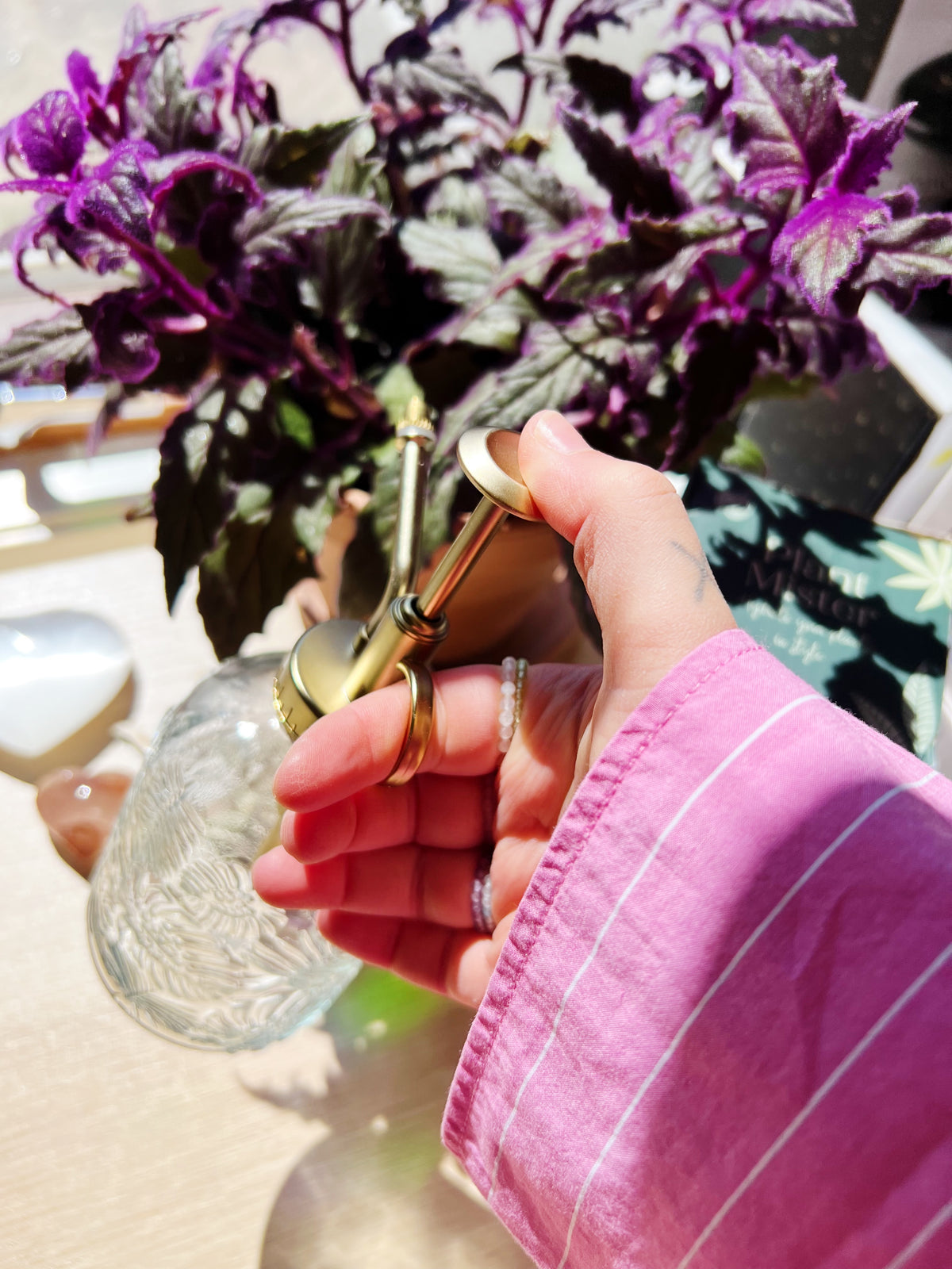 Vintage Glass Plantesprayer