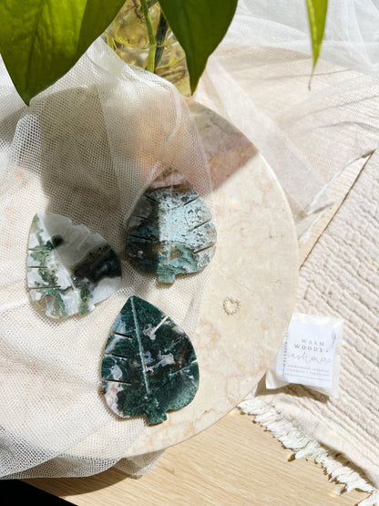Druzy Mos Agat Monstera Leaf  (8 x 5.5 cm 50g)