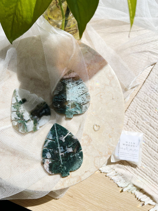 Druzy Mos Agat Monstera Leaf  (8 x 5.5 cm 50g)