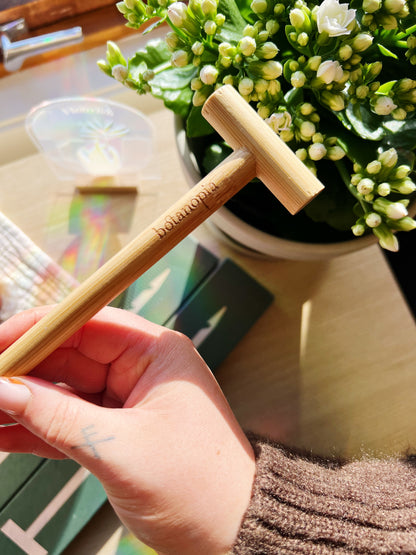 The Soil Checker - Jordprobe i Tre for Fuktighetskontroll