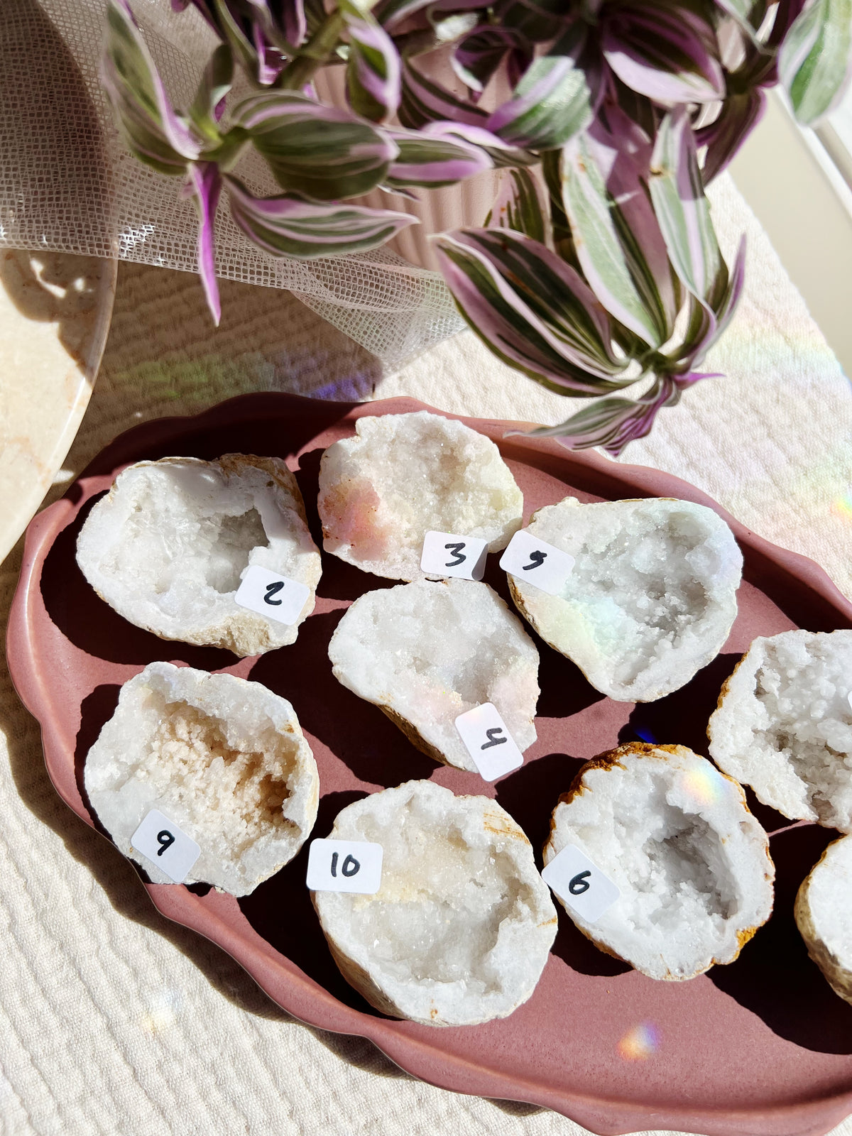 Hvit Agat Druzy Geode