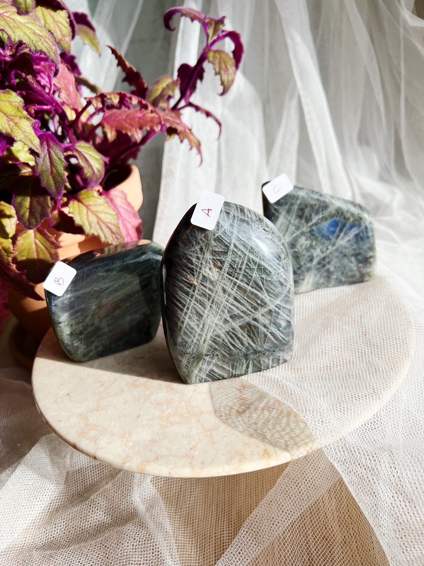 Labradoritt Freeforms – 410-489g