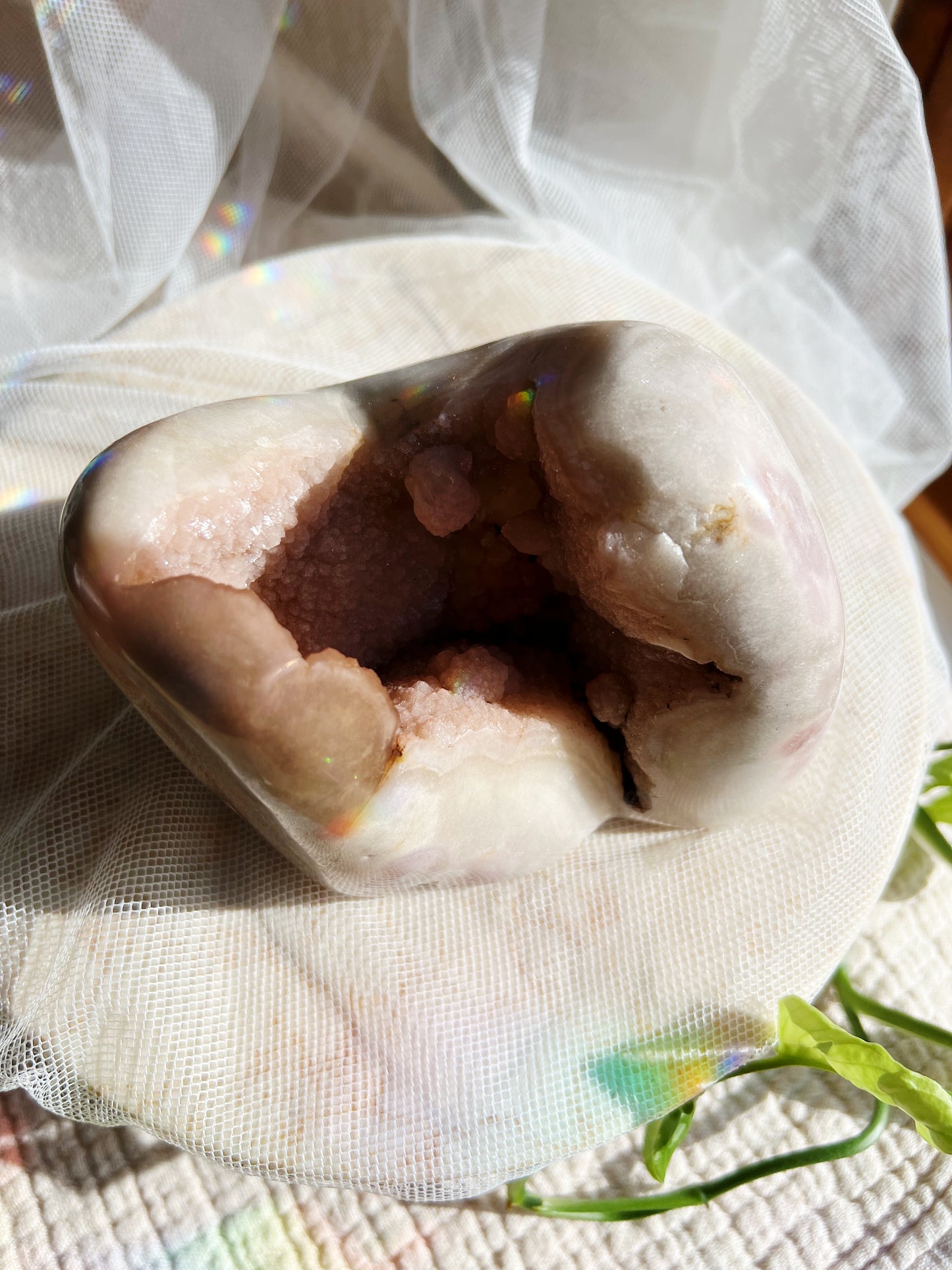 Rosa Ametyst Geode – 1666g