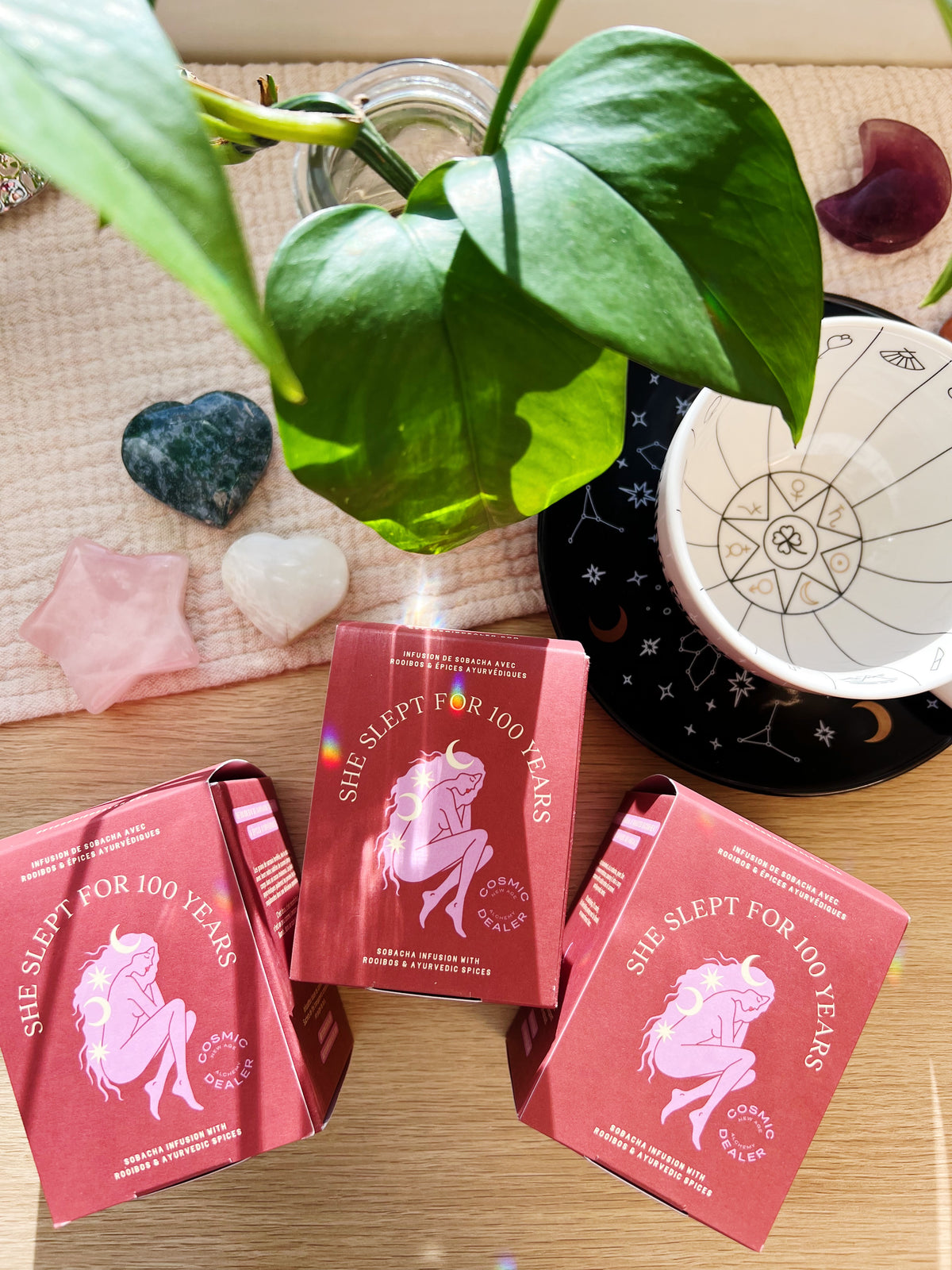 She Slept for 100 Years - Søvnte med Bokhvete & Rooibos (12 teposer)