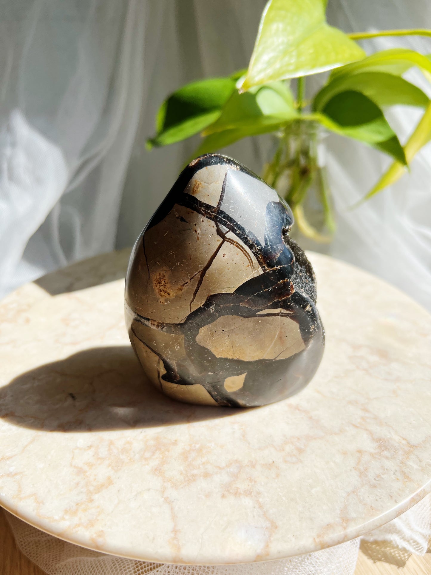 Sort Septarian Krystallfreeforms- XL: 650g