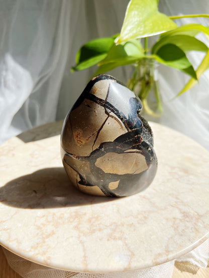 Sort Septarian Krystallfreeforms- XL: 650g
