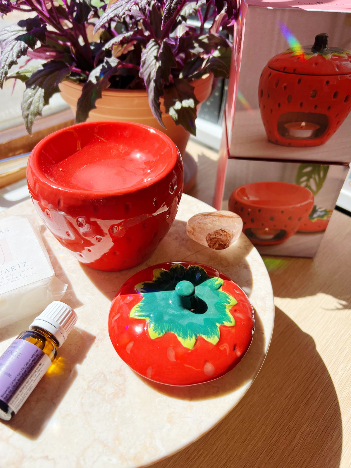Strawberry Olje / Wax melt Brenner