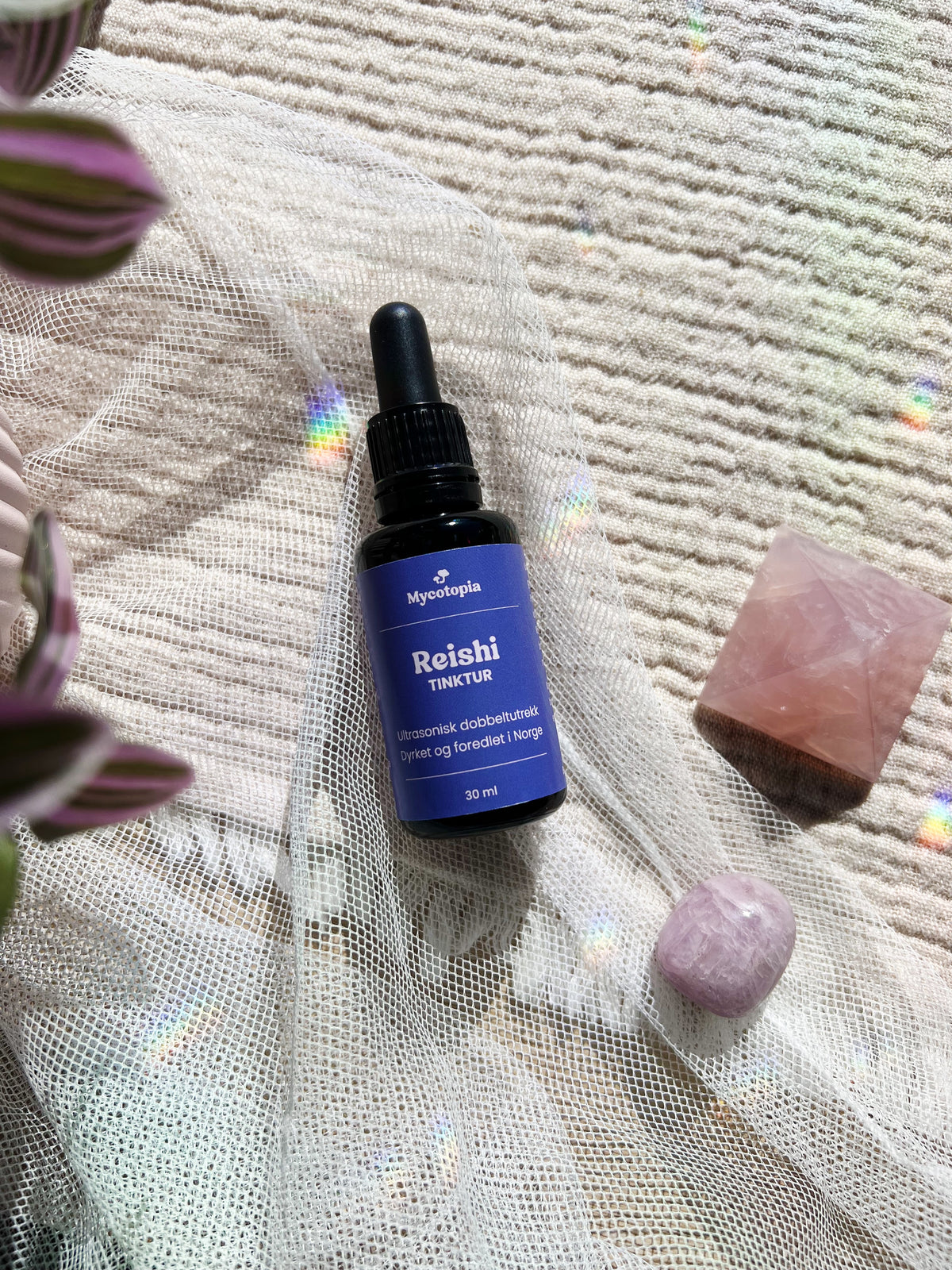 Reishi Tinktur 30 ml