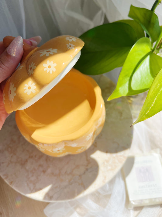 Groovy Pumpkin olje/Wax melt Brenner