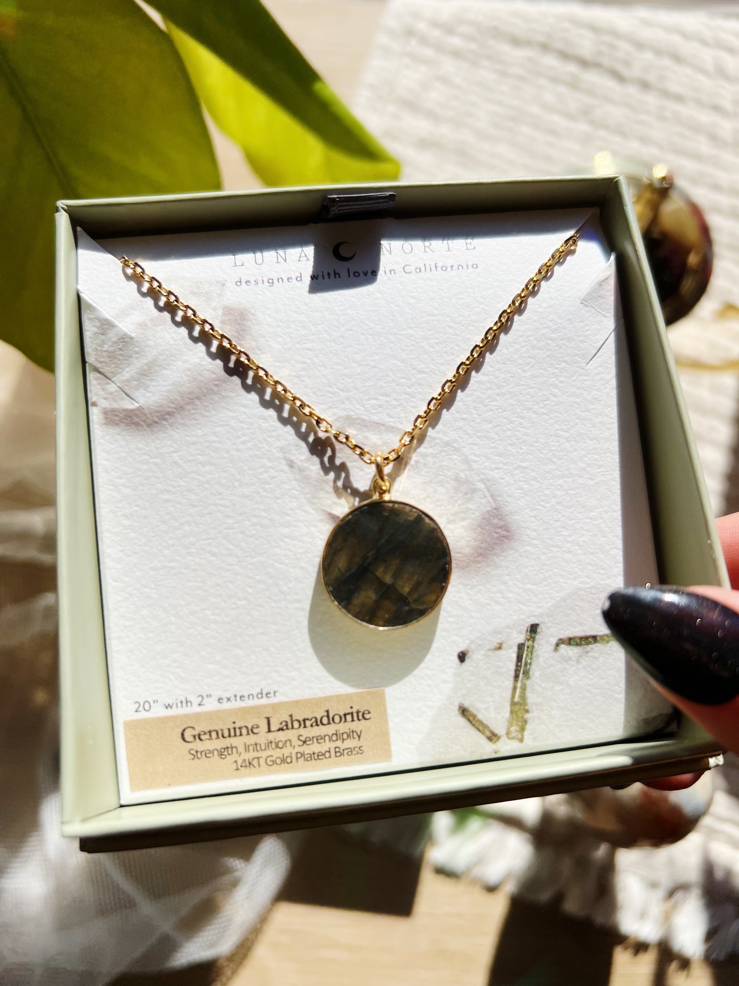 Smooth Sailing Long Medallion Halskjede - Labradorite