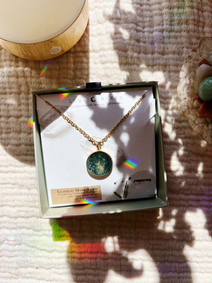 Mini Terrarium Long Medallion Halskjede - Moss Agate