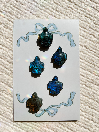 Labradoritt-skilpadde  (3cm)