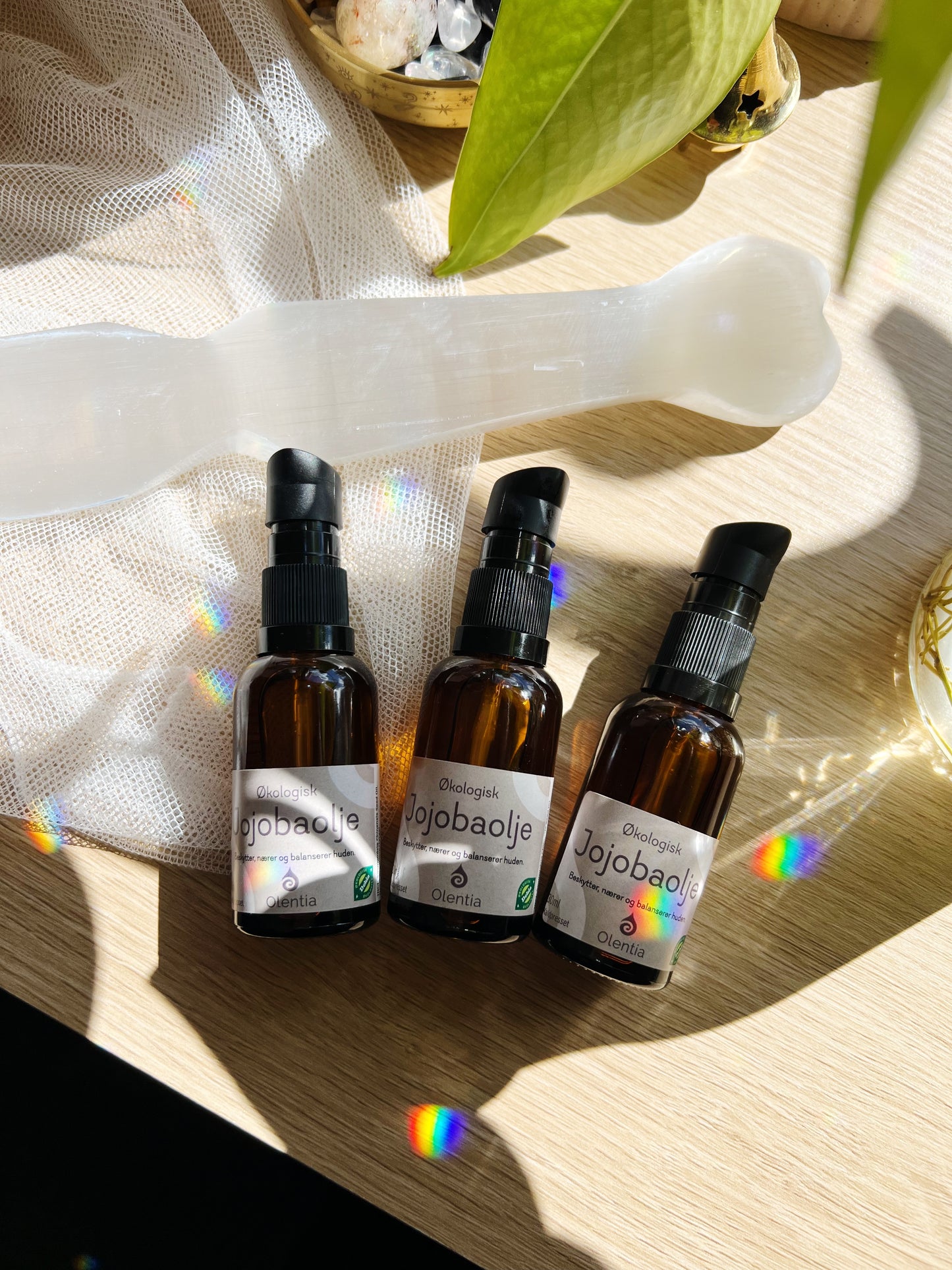 Jojobaolje – økologisk 30ml