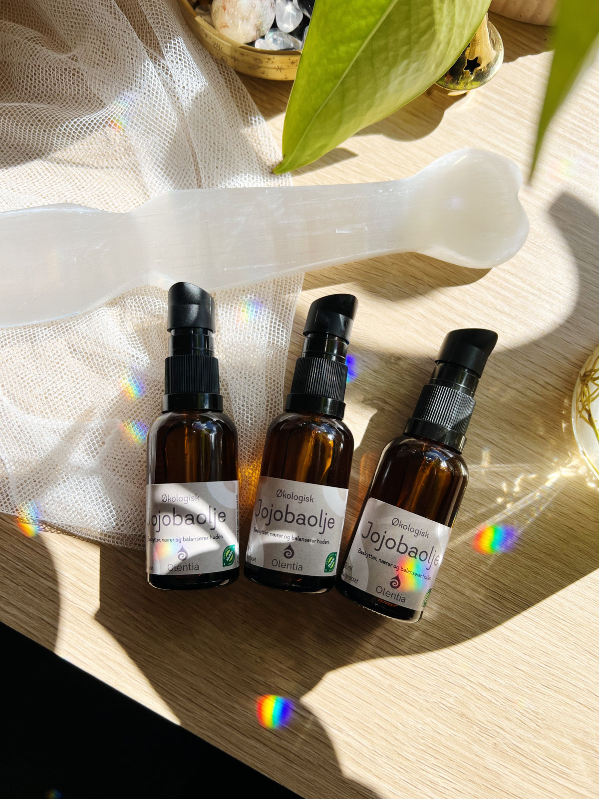 Jojobaolje – økologisk 30ml