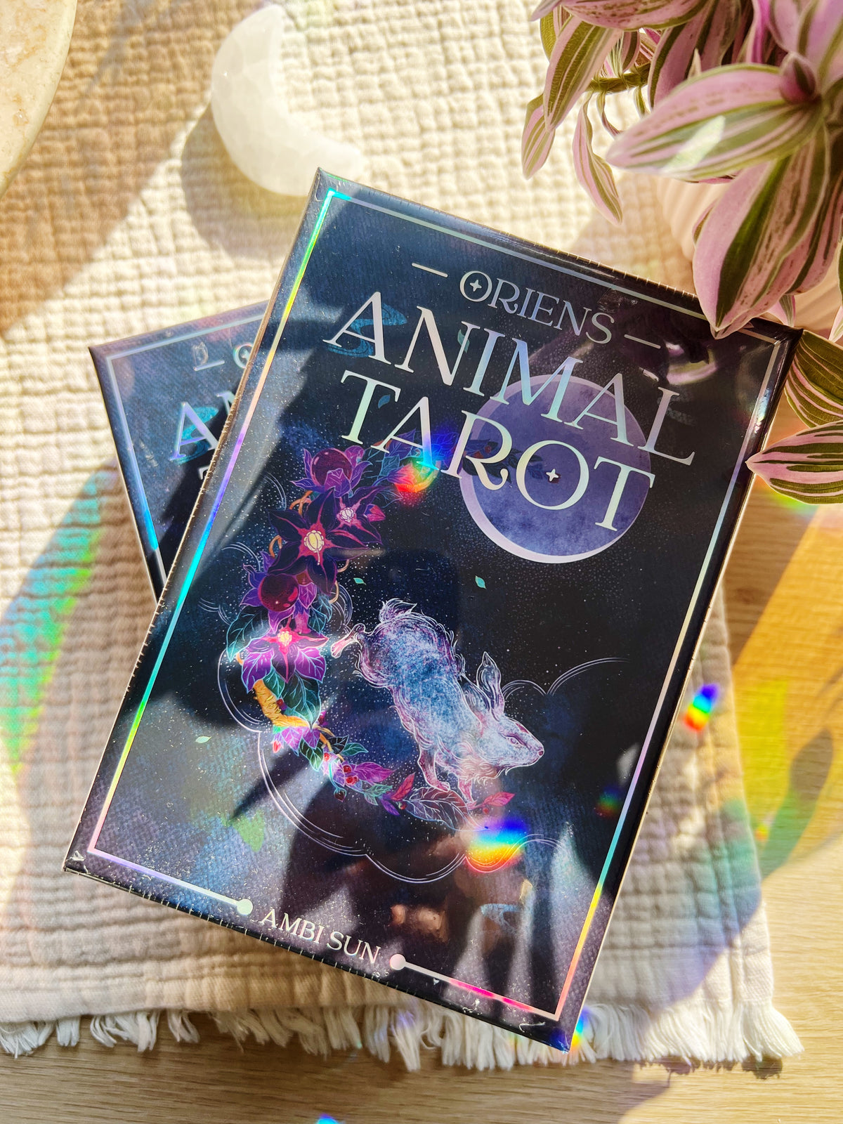 Orien's Animal Tarotkort
