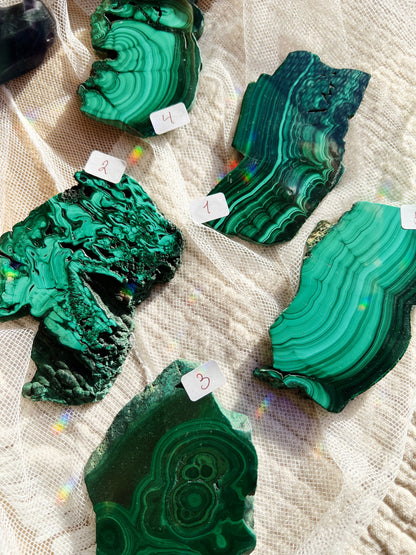 Malakitt Krystall Slices – 101-150g