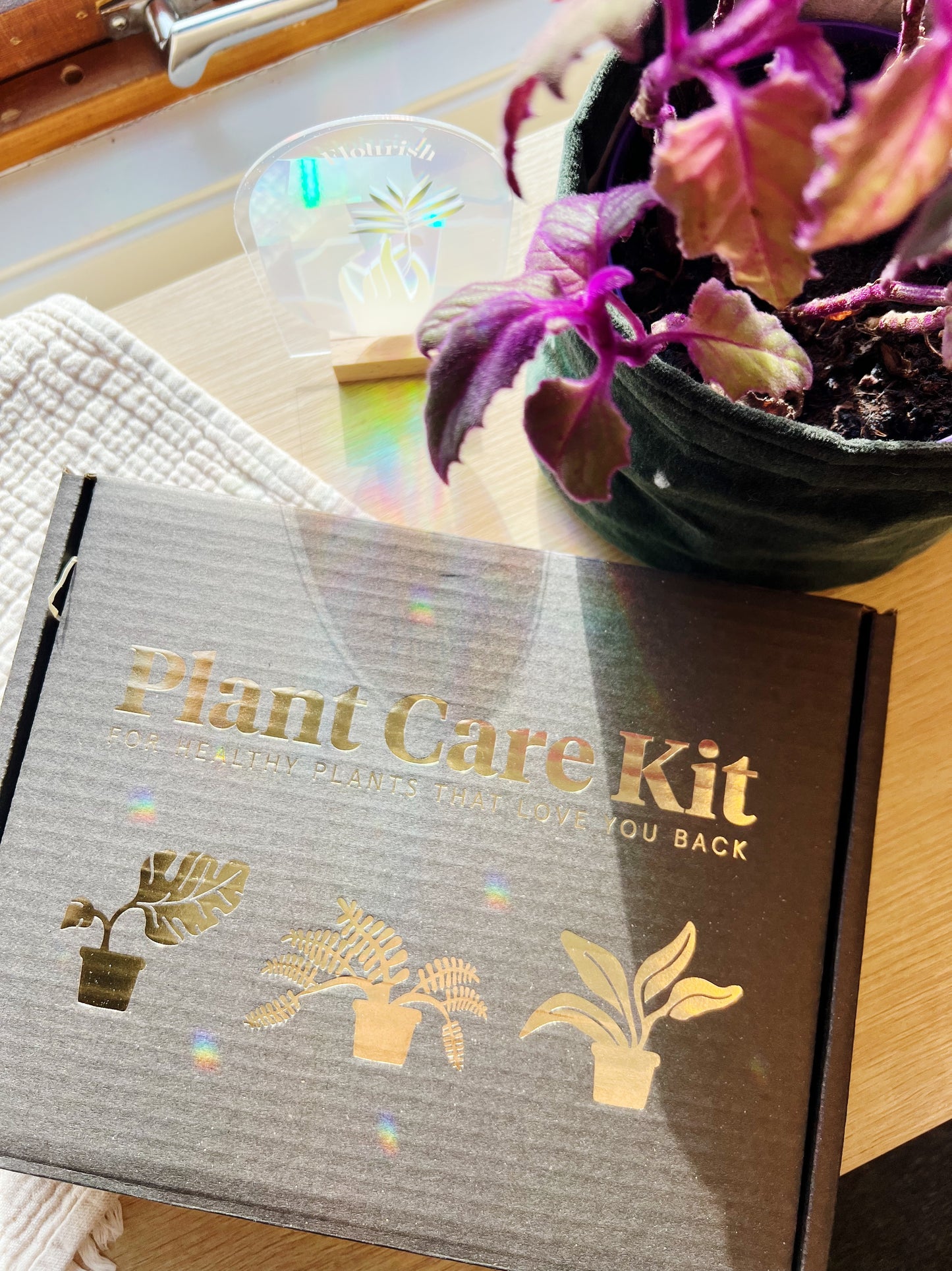 Plantestell-sett - For Friske Planter som Elsker Deg Tilbake