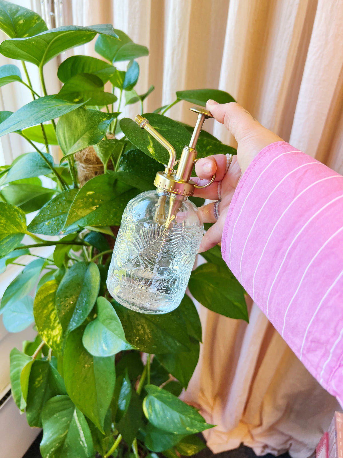 Vintage Glass Plantesprayer