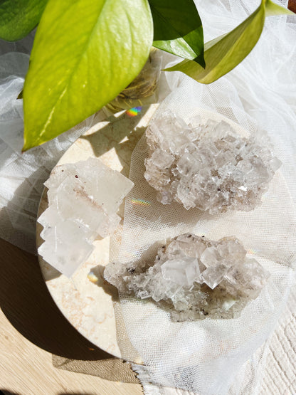 Halitt : 300g
