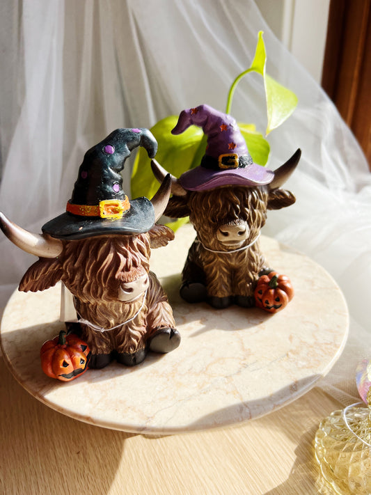 Halloween-Kuer