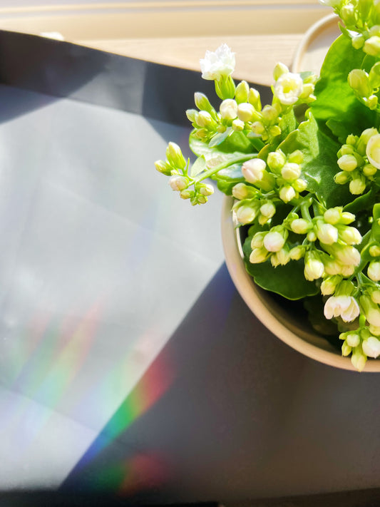 Planteduk for Hagearbeid - Vegansk Svart Bånd