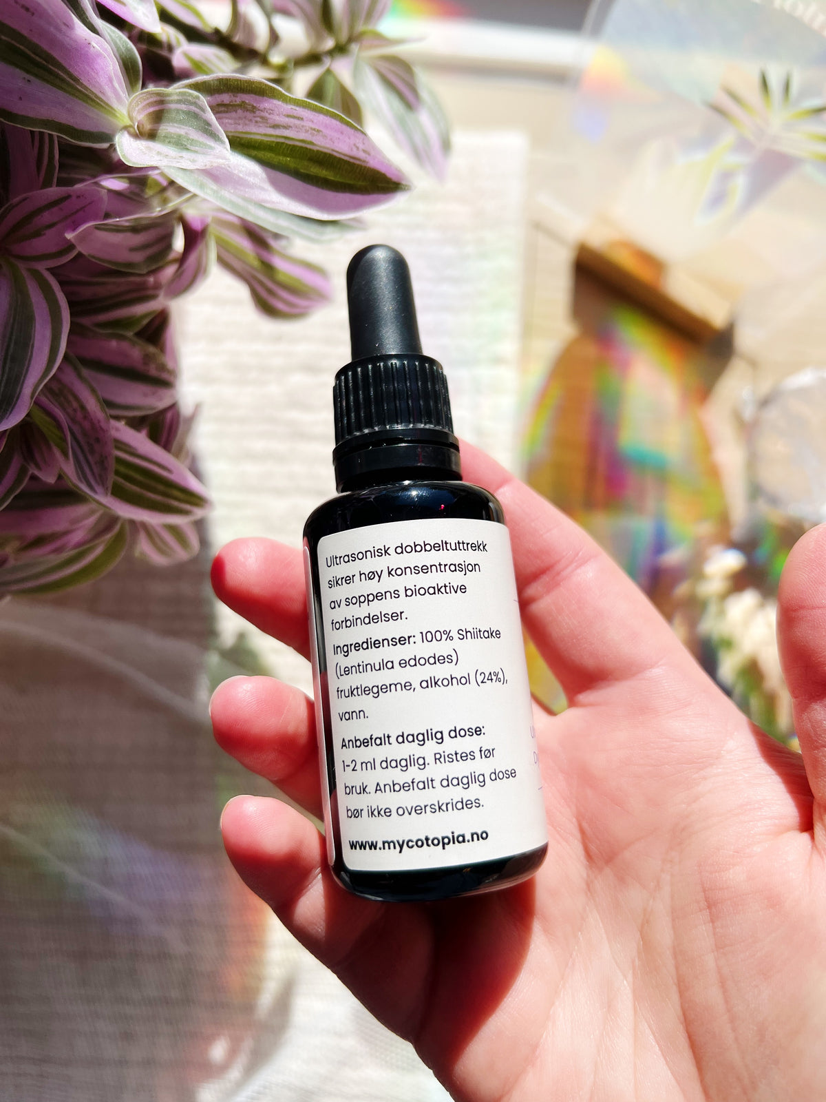 Shiitake Tinktur 30 ml