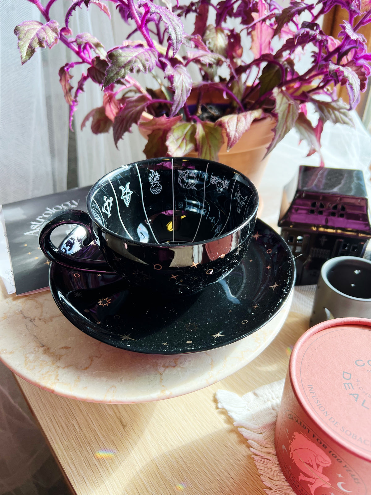 Astrology Fortune Telling Tekopp
