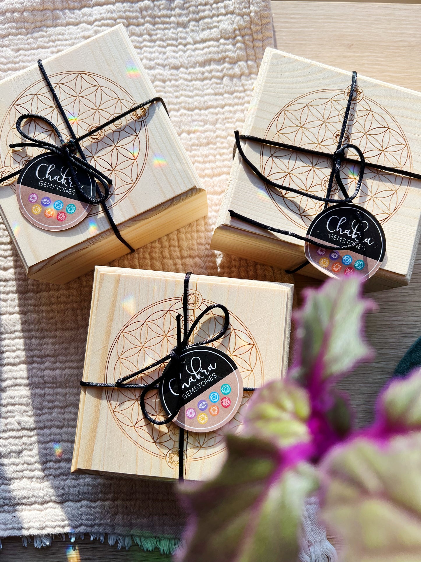 Chakra Krystall Grid Gavesett