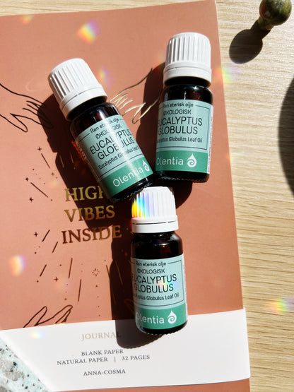 Eucalyptus Globulus eterisk olje, økologisk. 10ml
