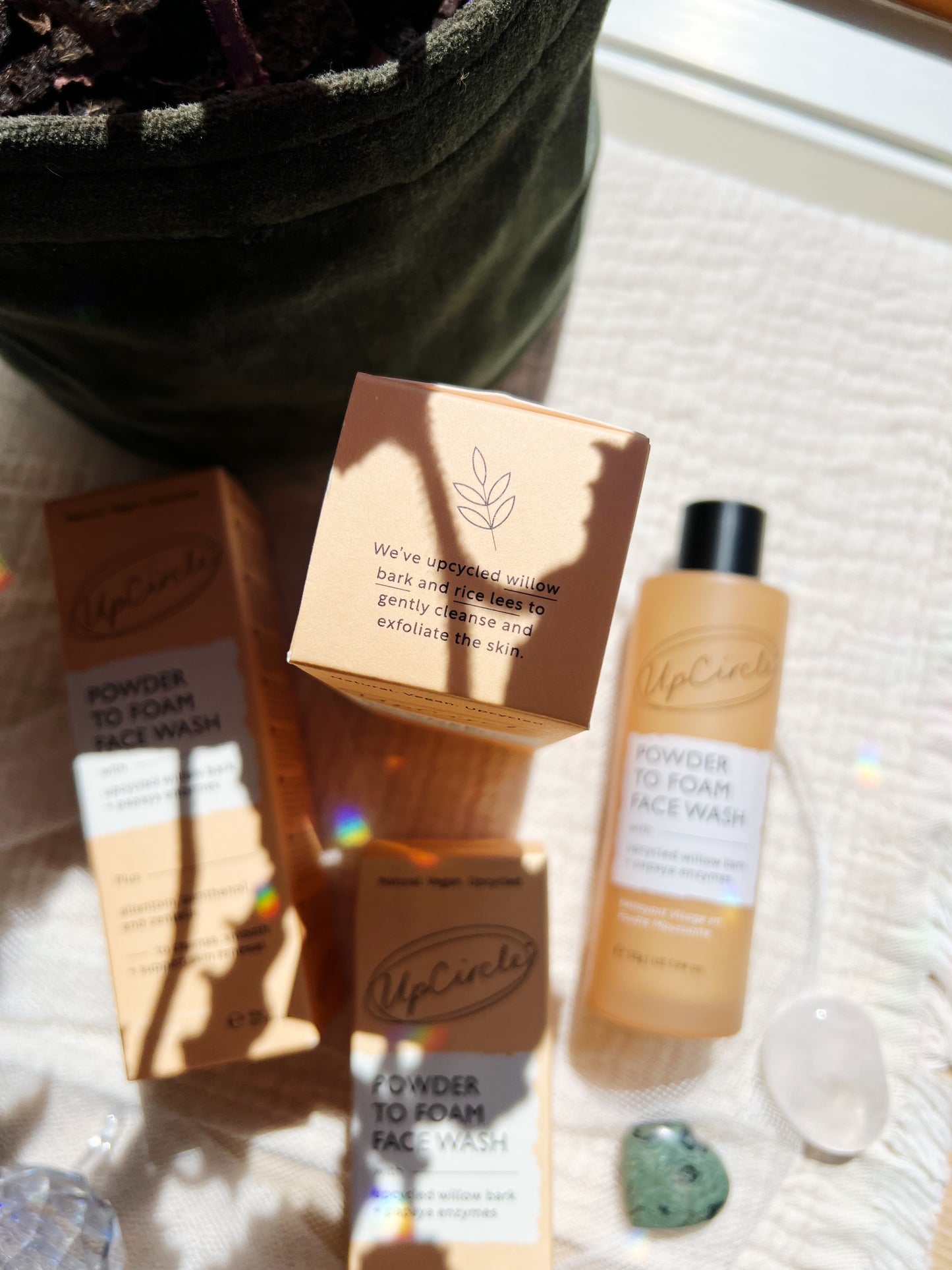 Powder to Foam Face Wash med Willow Bark & Papaya
