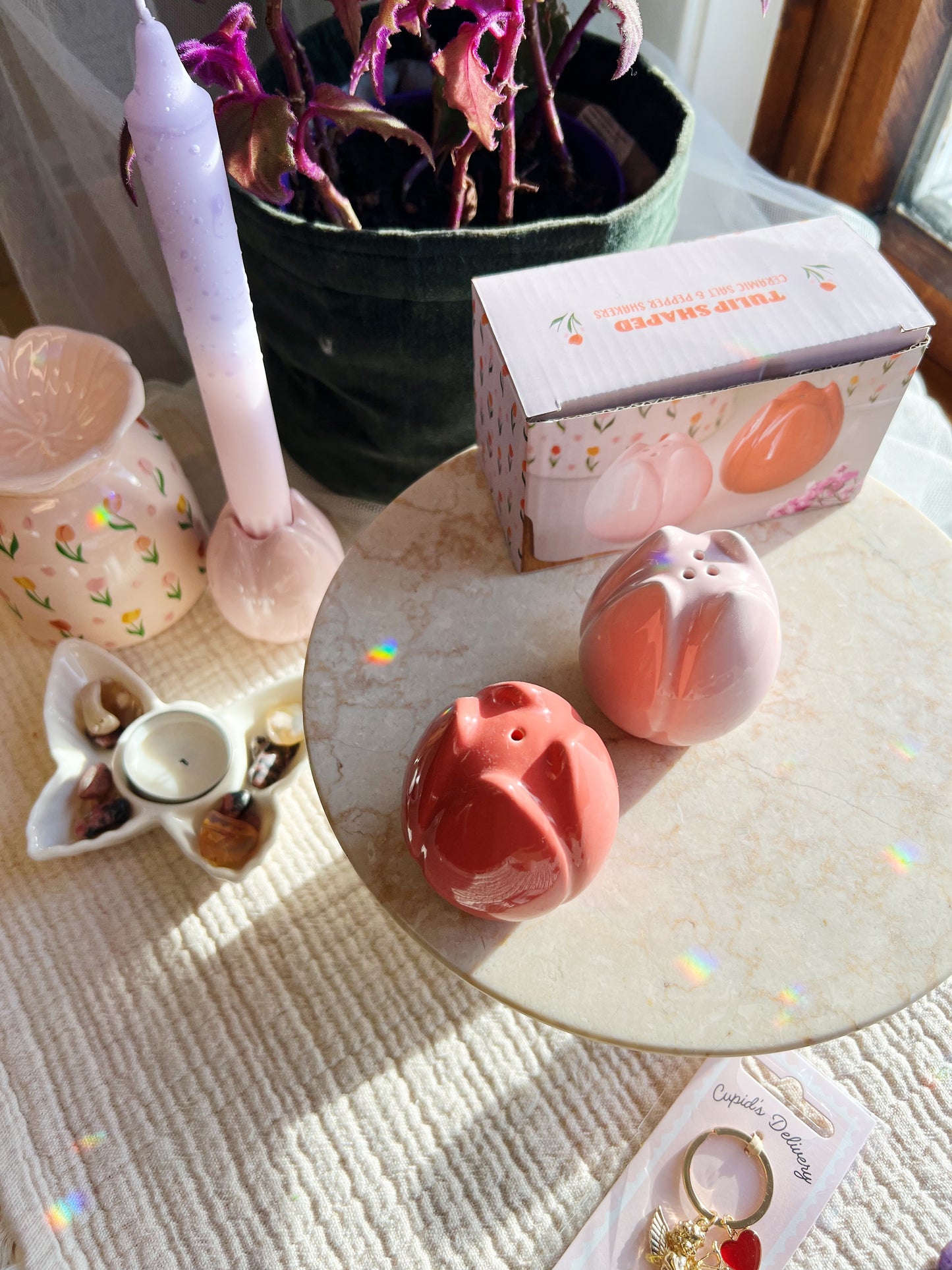 Vår Tulipan Salt og Pepper Krydderbøsser