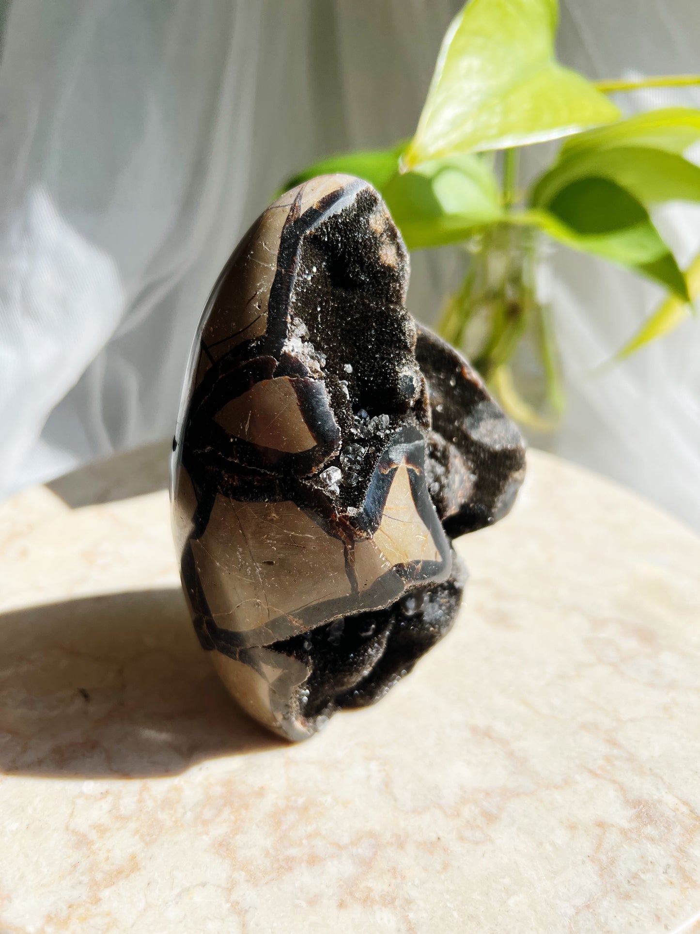 Sort Septarian Krystallfreeforms- XL: 650g