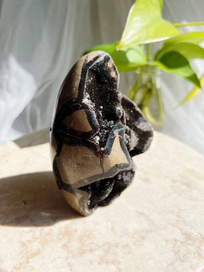 Sort Septarian Krystallfreeforms- XL: 650g