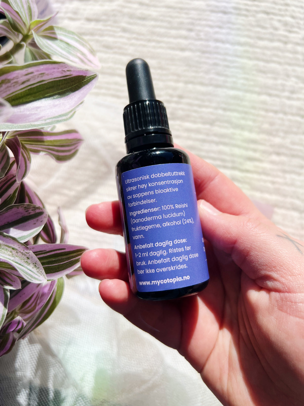 Reishi Tinktur 30 ml