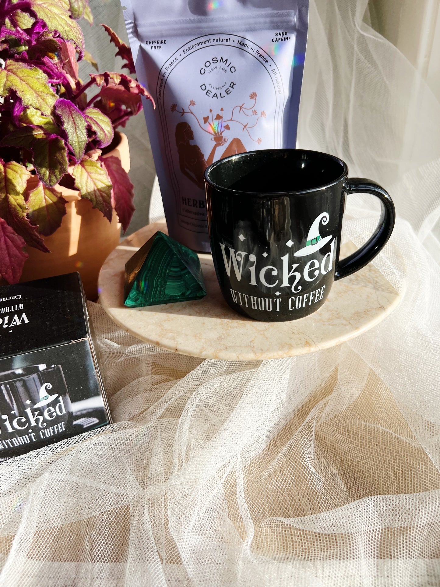 Wicked Without Coffee Kopp
