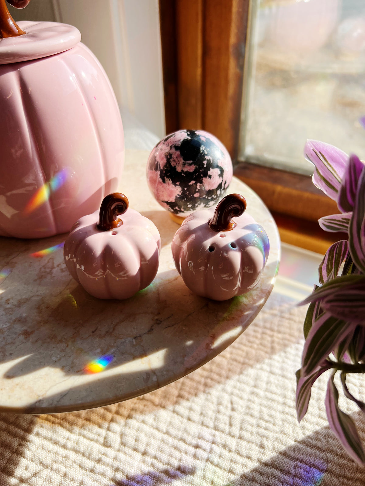 Rosa Gresskar Salt og Pepper Krydderbøsser
