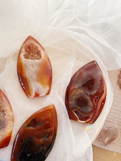 Druzy Karneol Freeform