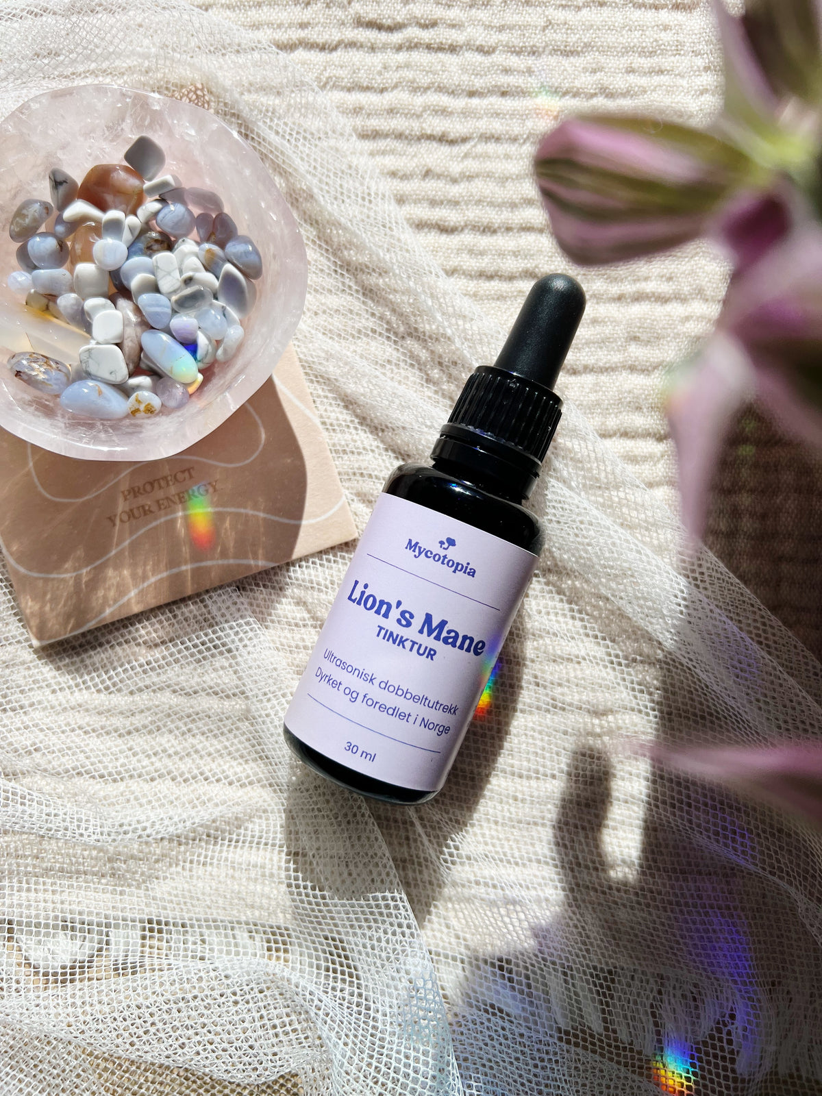 Lion’s Mane Tinktur 30 ml