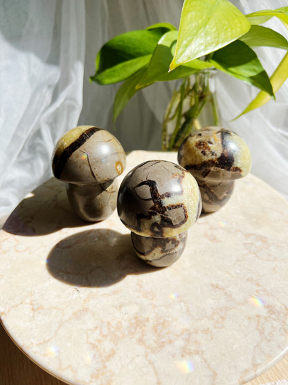 Septarian Krystallsopp 200g