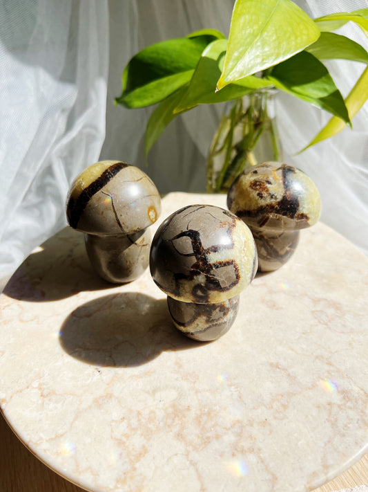 Septarian Krystallsopp 200g