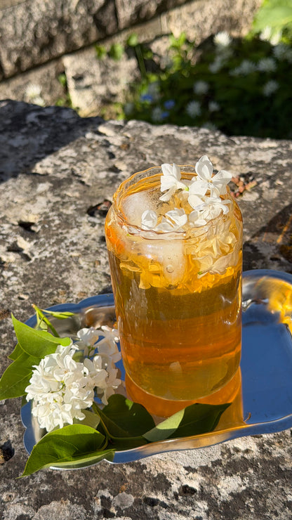 Sobacha & Rooibos - She slept for 100 Years - 12 teposer